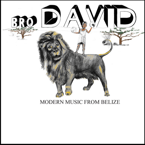 Bro David - Modern Music From Belize