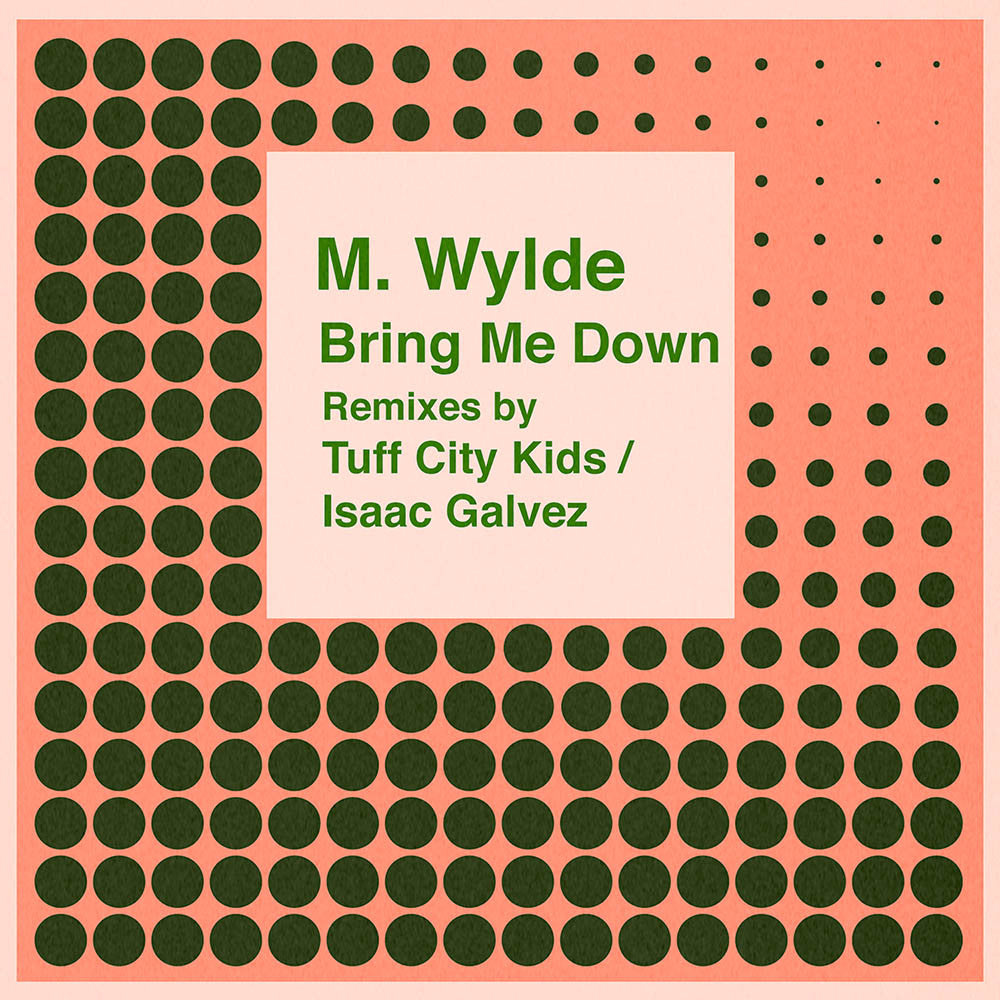M. Wylde - Bring Me Down