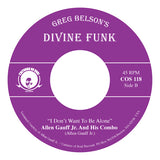 Greg Belson's Divine Funk Box