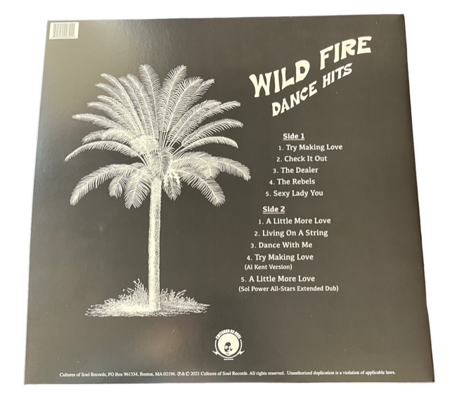 Wild Fire - Dance Hits - LP – Cultures of Soul